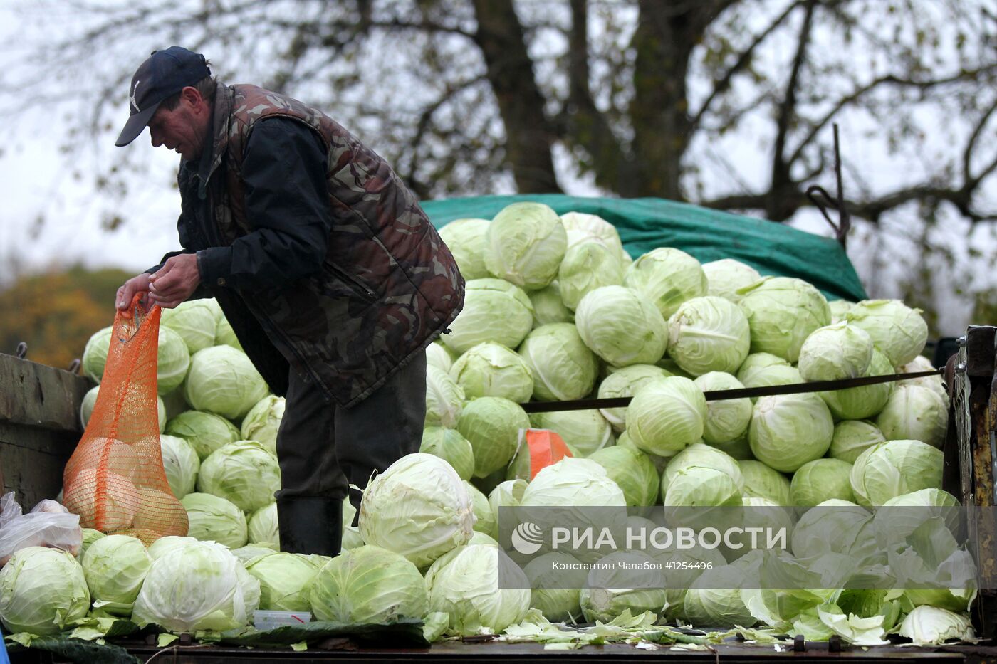 Сельскохозяйственная ярмарка "Урожай" в Великом Новгороде