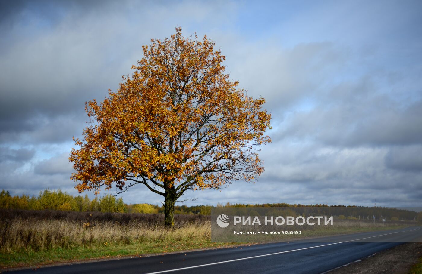 Осень в Великом Новгороде