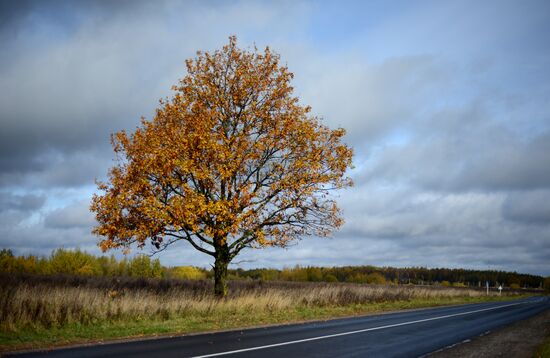 Осень в Великом Новгороде