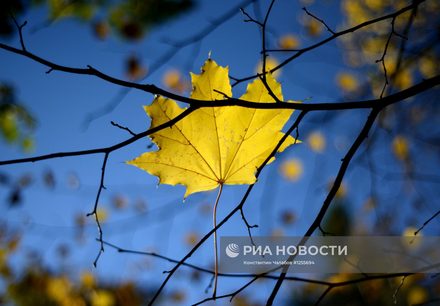 Осень в Великом Новгороде