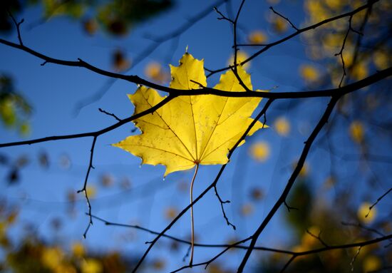 Осень в Великом Новгороде