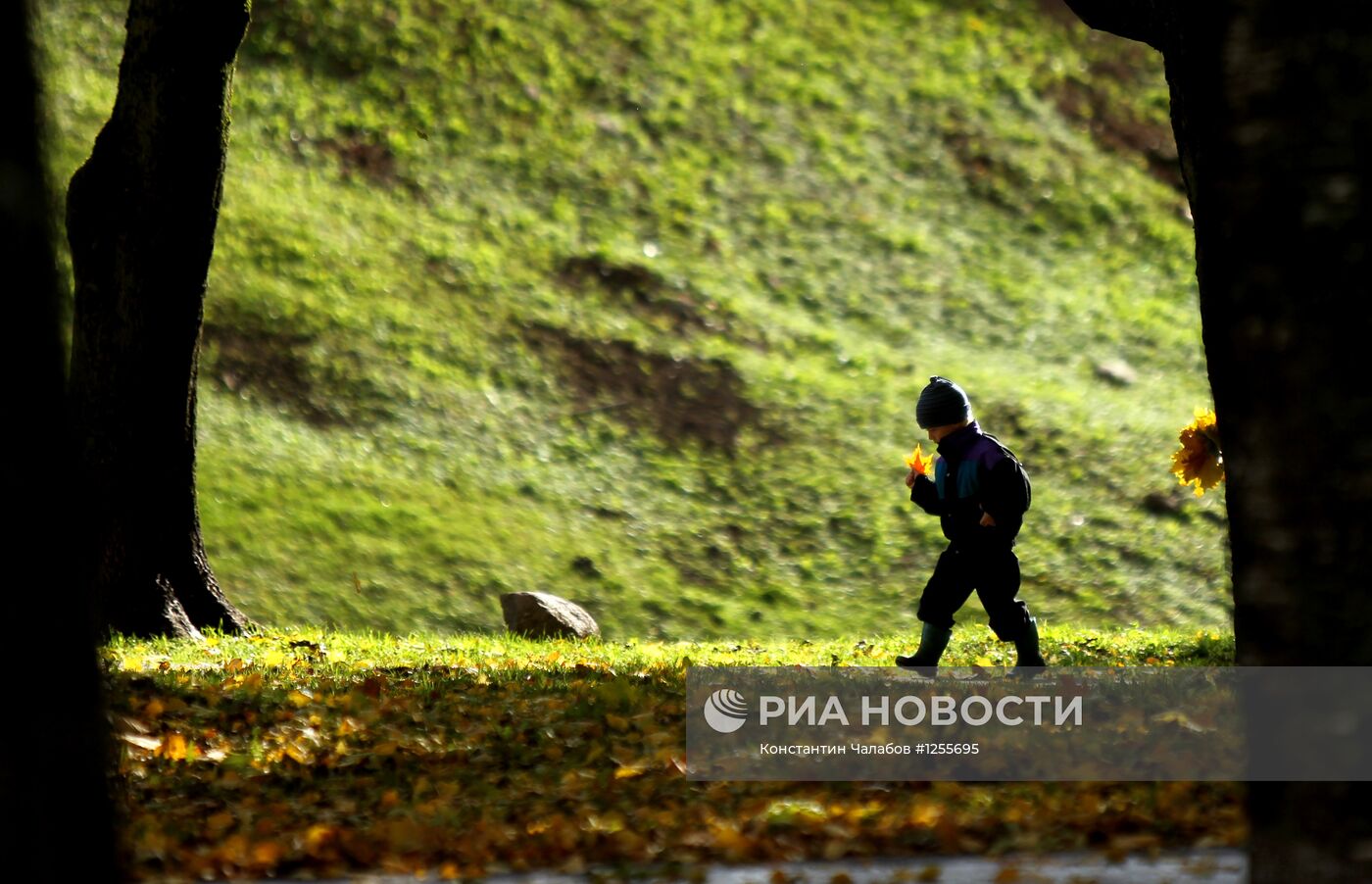 Осень в Великом Новгороде