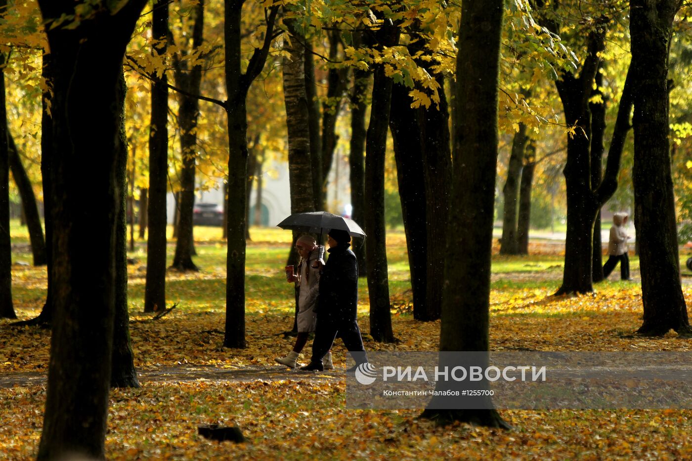 Осень в Великом Новгороде