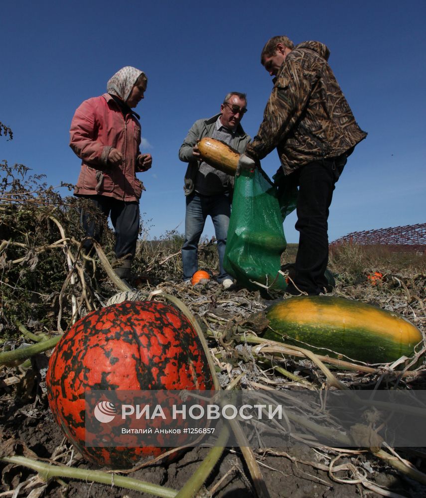 Повседневная жизнь фермерского хозяйства Приморского края