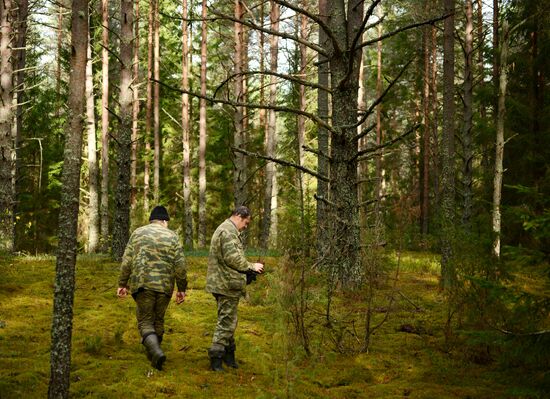 Поисковый отряд обнаружил останки солдат и боеприпасы времен ВОВ