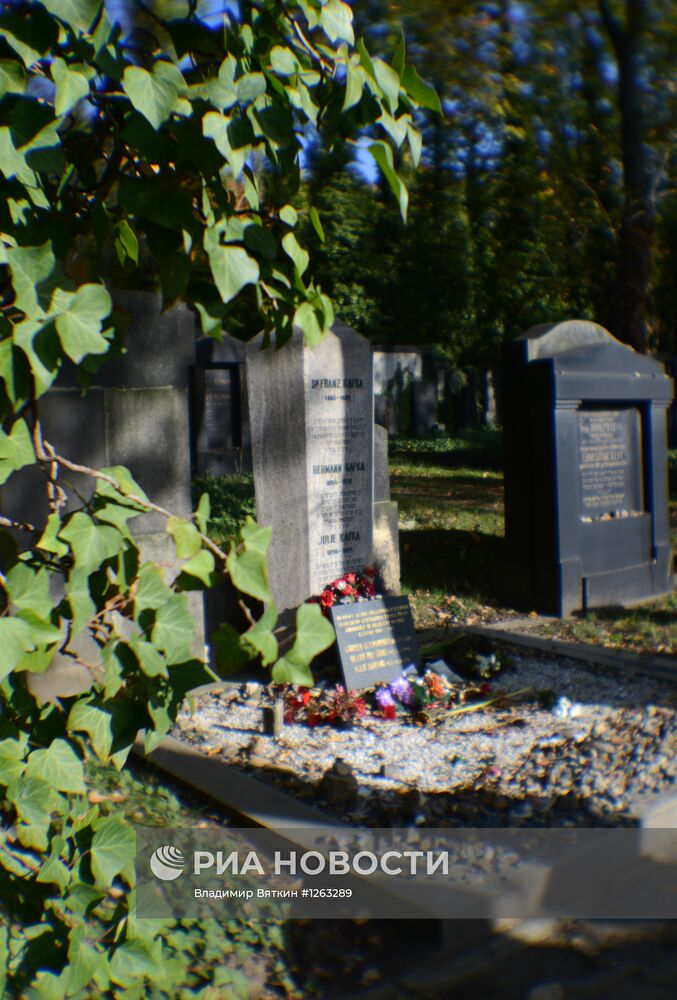 Зарубежные страны. Чехия