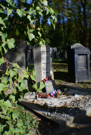 Зарубежные страны. Чехия