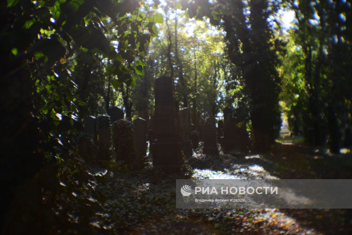 Зарубежные страны. Чехия