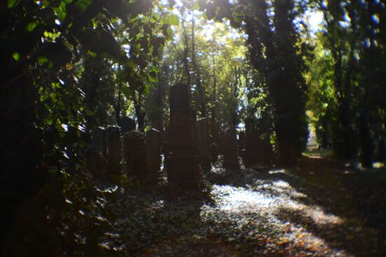 Зарубежные страны. Чехия