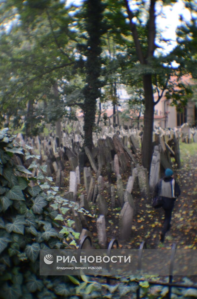 Зарубежные страны. Чехия