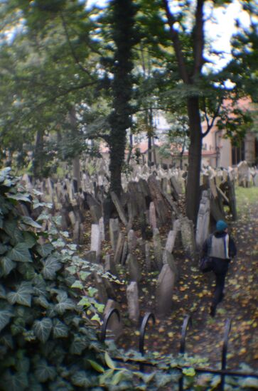 Зарубежные страны. Чехия