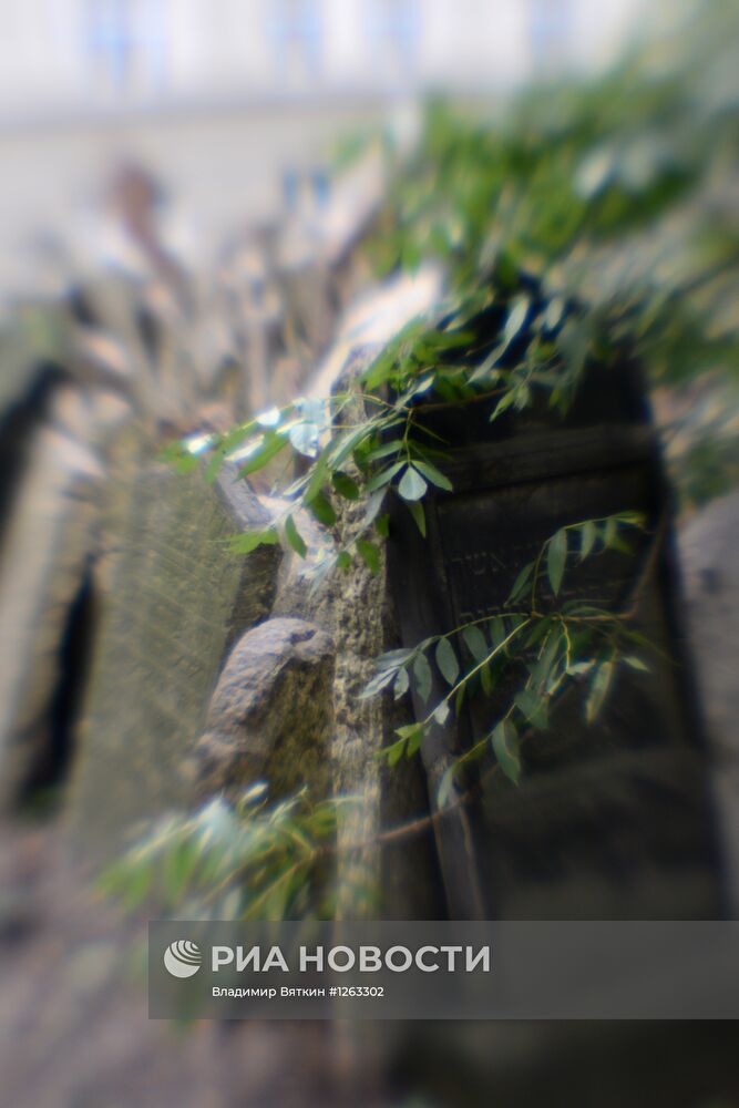 Зарубежные страны. Чехия