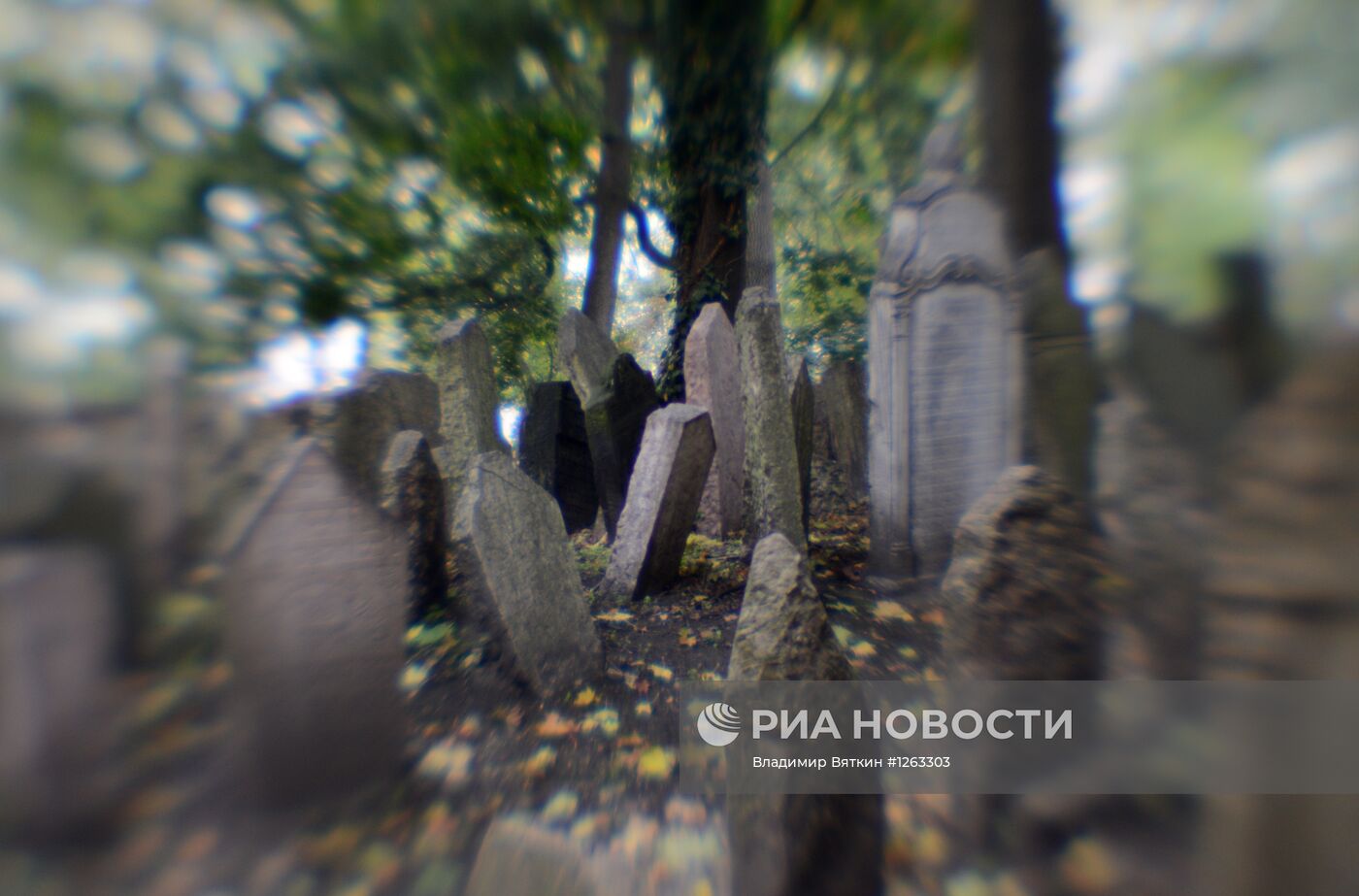 Зарубежные страны. Чехия