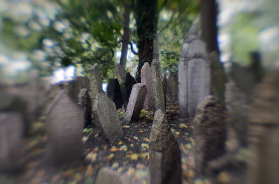 Зарубежные страны. Чехия