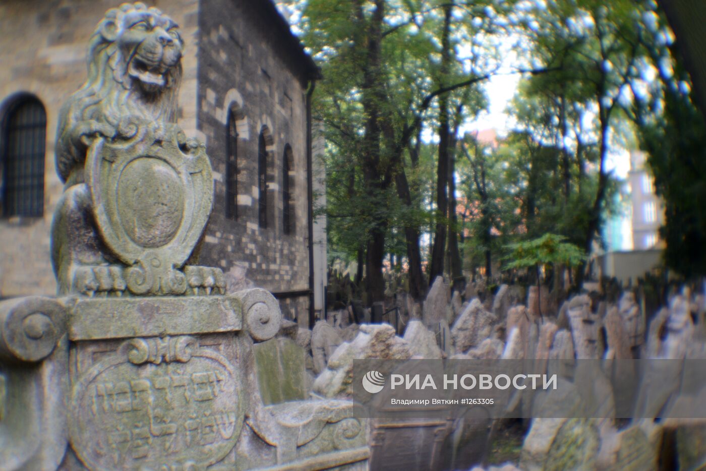 Зарубежные страны. Чехия