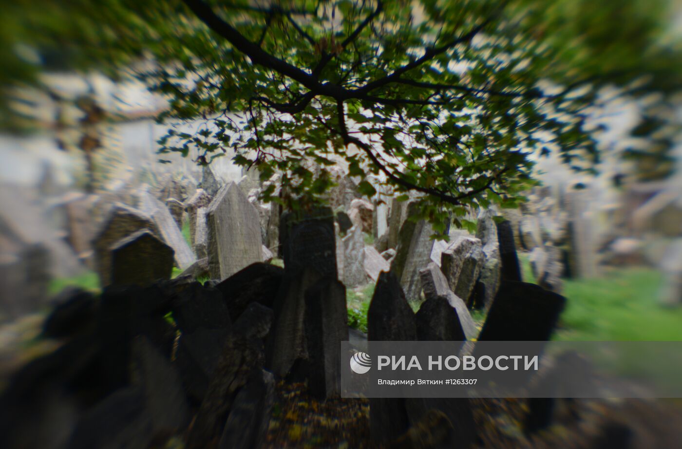 Зарубежные страны. Чехия