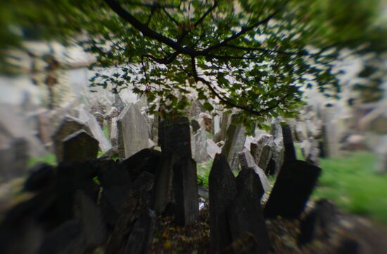 Зарубежные страны. Чехия