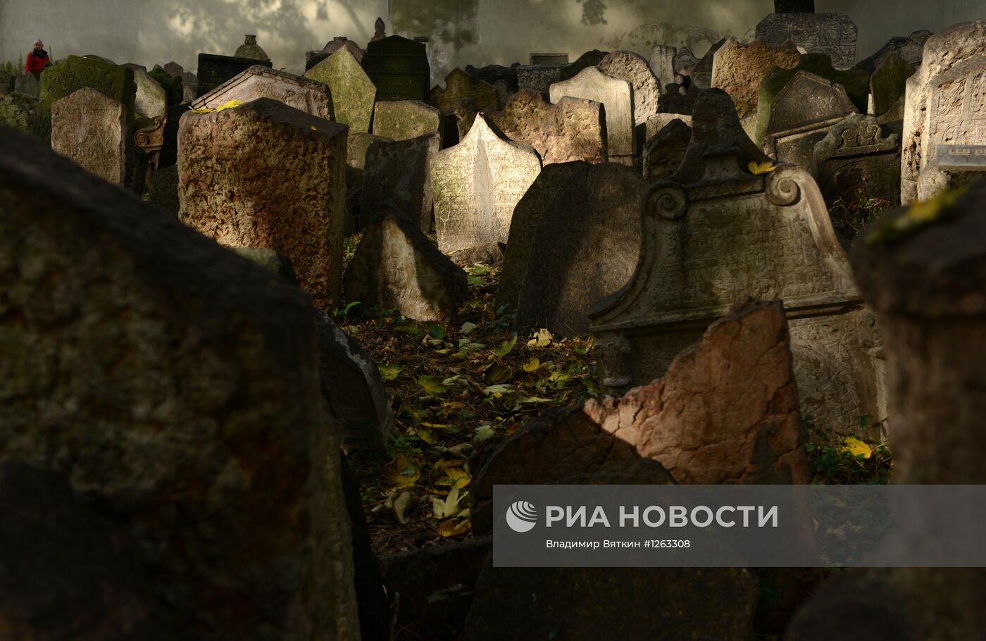 Зарубежные страны. Чехия