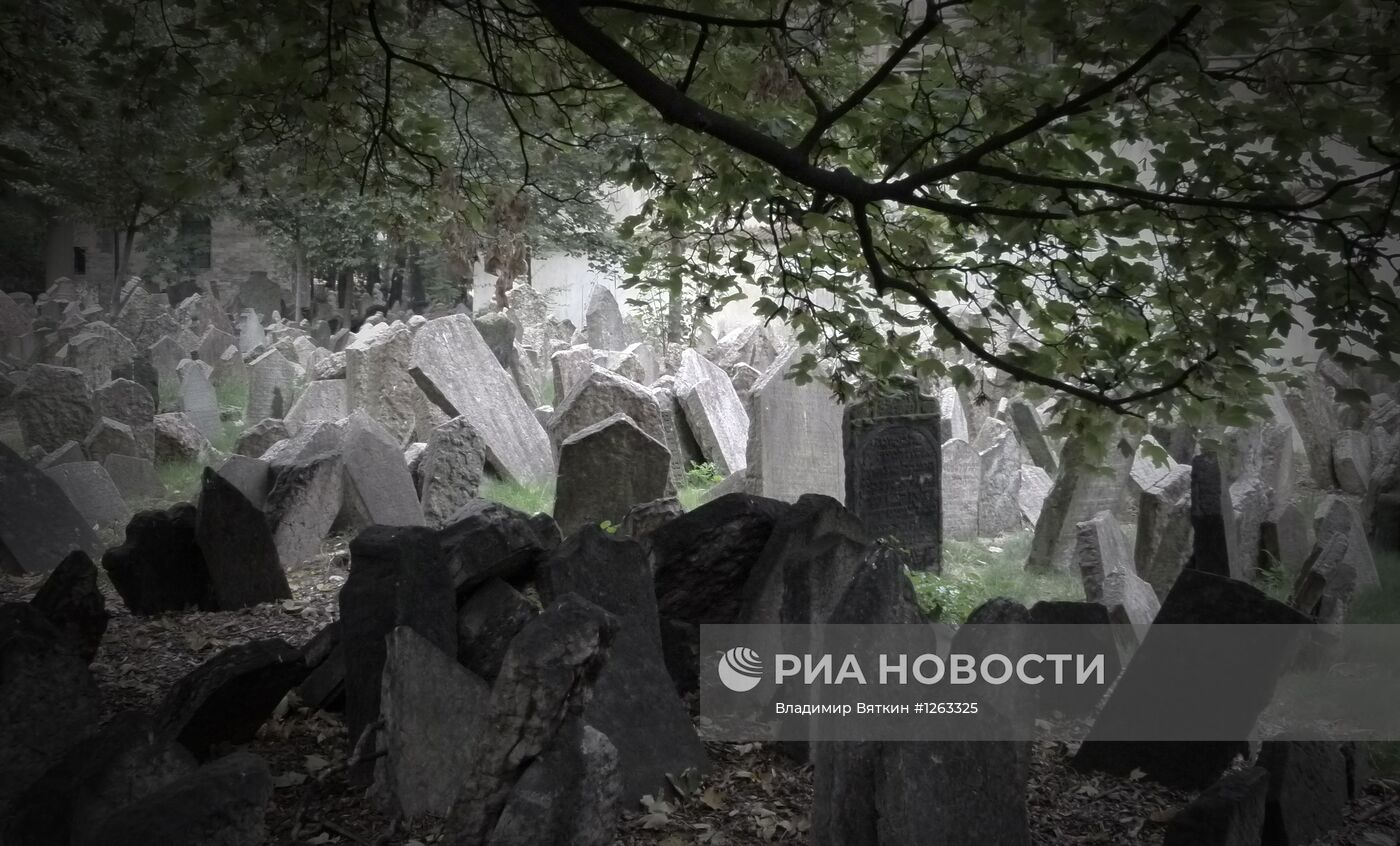 Зарубежные страны. Чехия