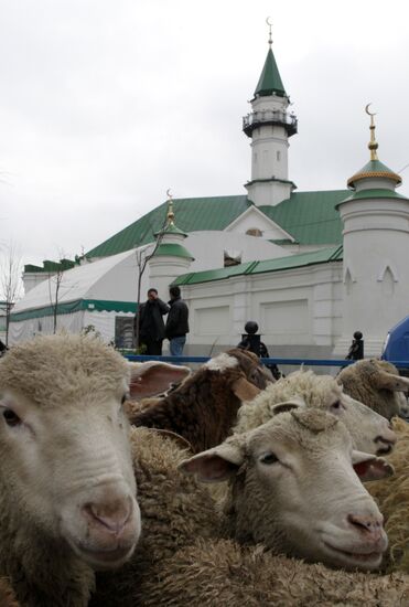 Празднование Курбан-байрама в регионах России