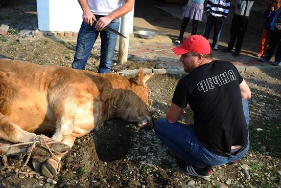 Празднование Курбан-байрама в регионах