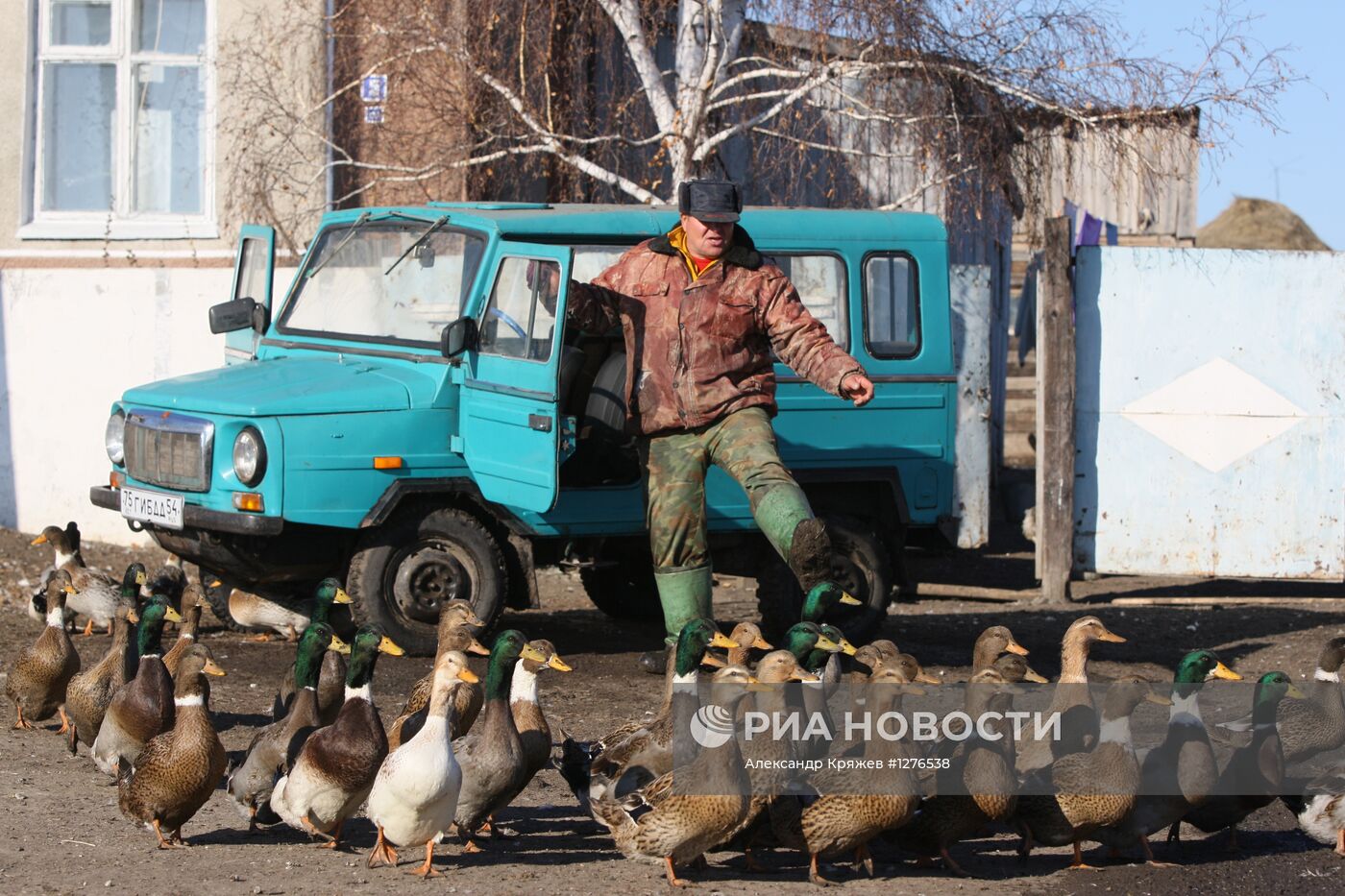 Сельская жизнь в Новосибирской области