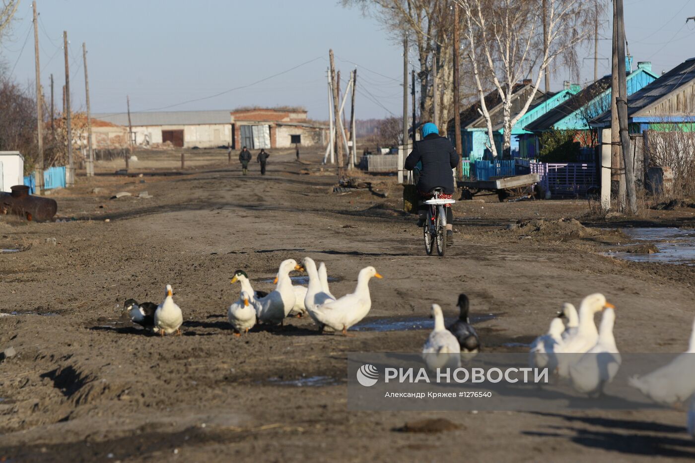 Сельская жизнь в Новосибирской области