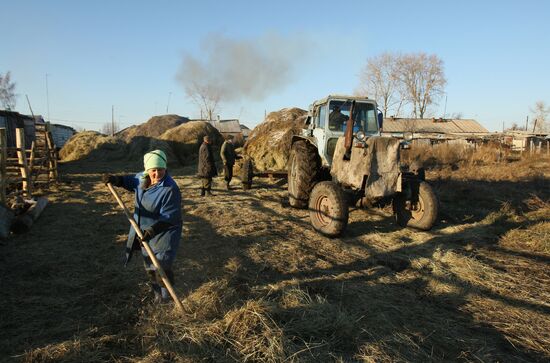 Сельская жизнь в Новосибирской области