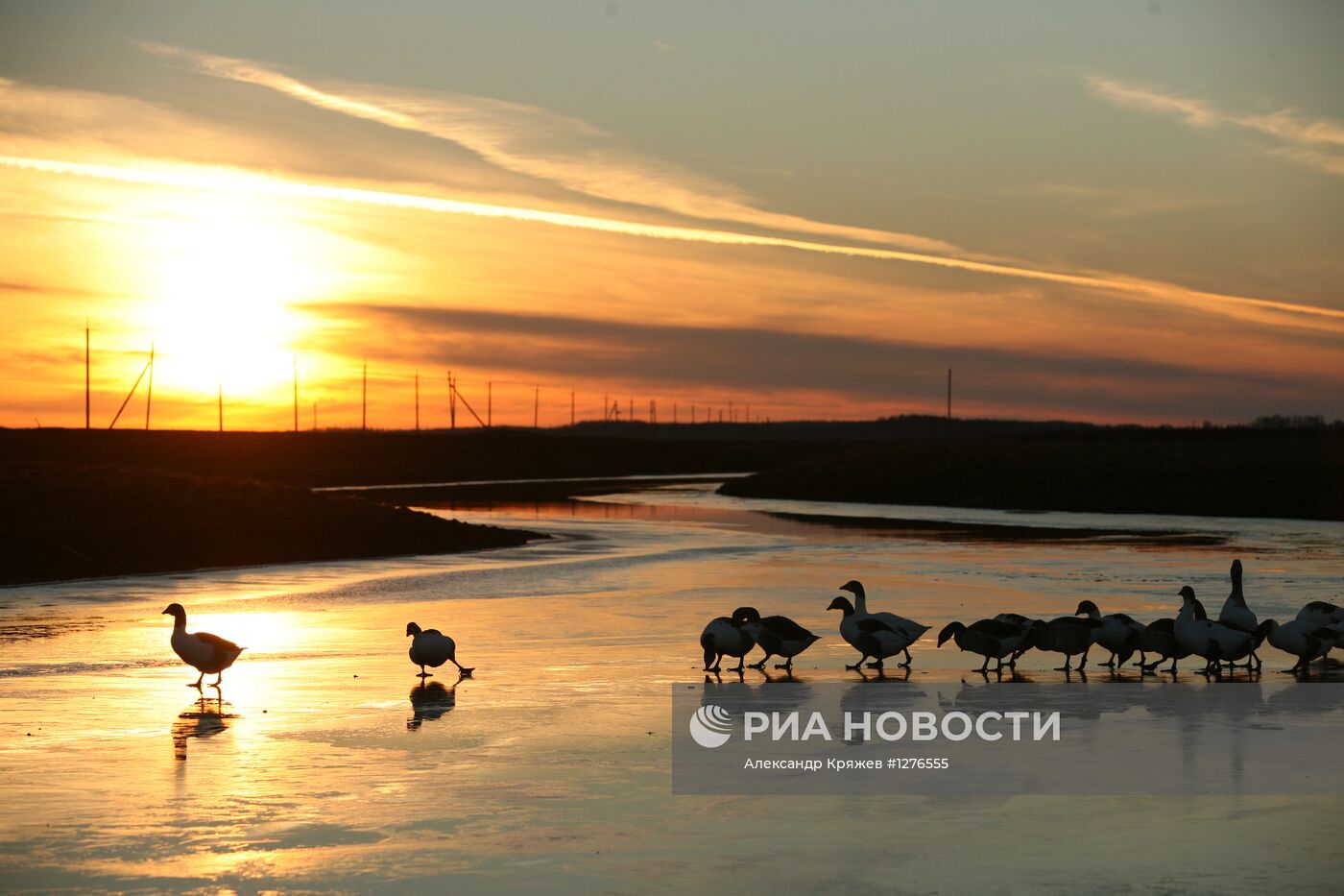 Сельская жизнь в Новосибирской области