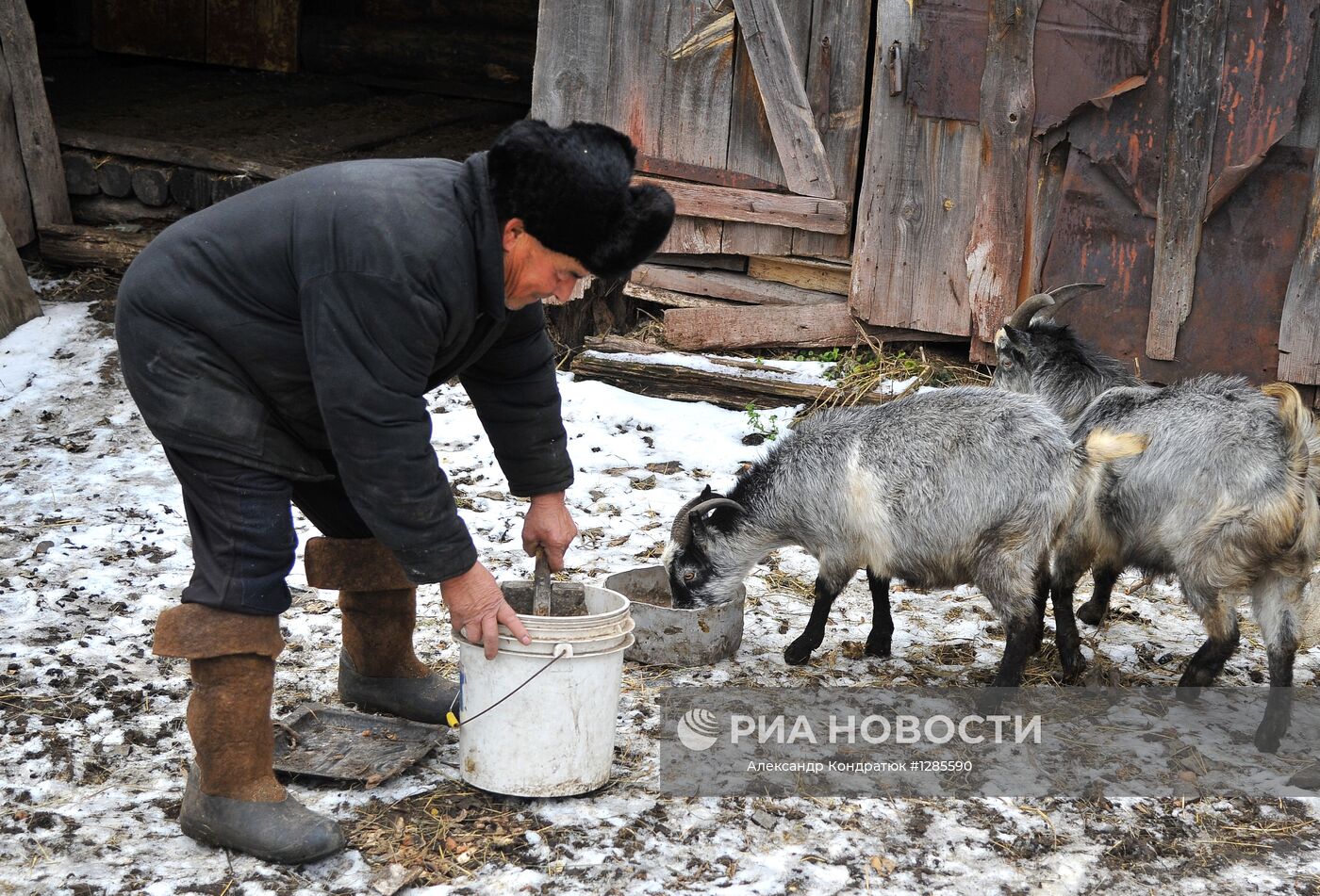 Погода в татарской караболке. Татарская Караболка. Деревня Караболка Татарская. Татарская Караболка Челябинская. Деревня Караболка Челябинская область.