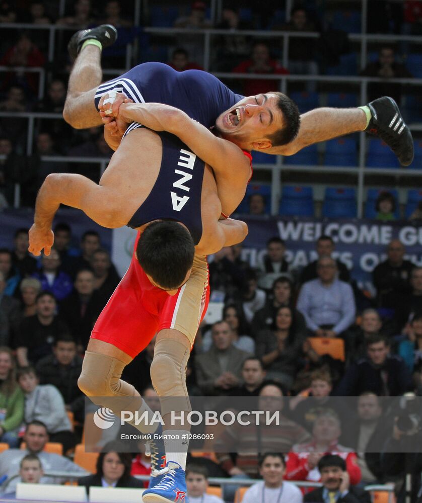 Кубок европейских наций по вольной и греко-римской борьбе