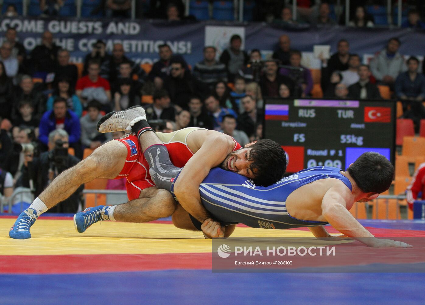 Кубок европейских наций по вольной и греко-римской борьбе