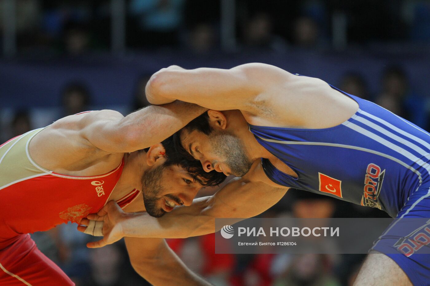 Кубок европейских наций по вольной и греко-римской борьбе