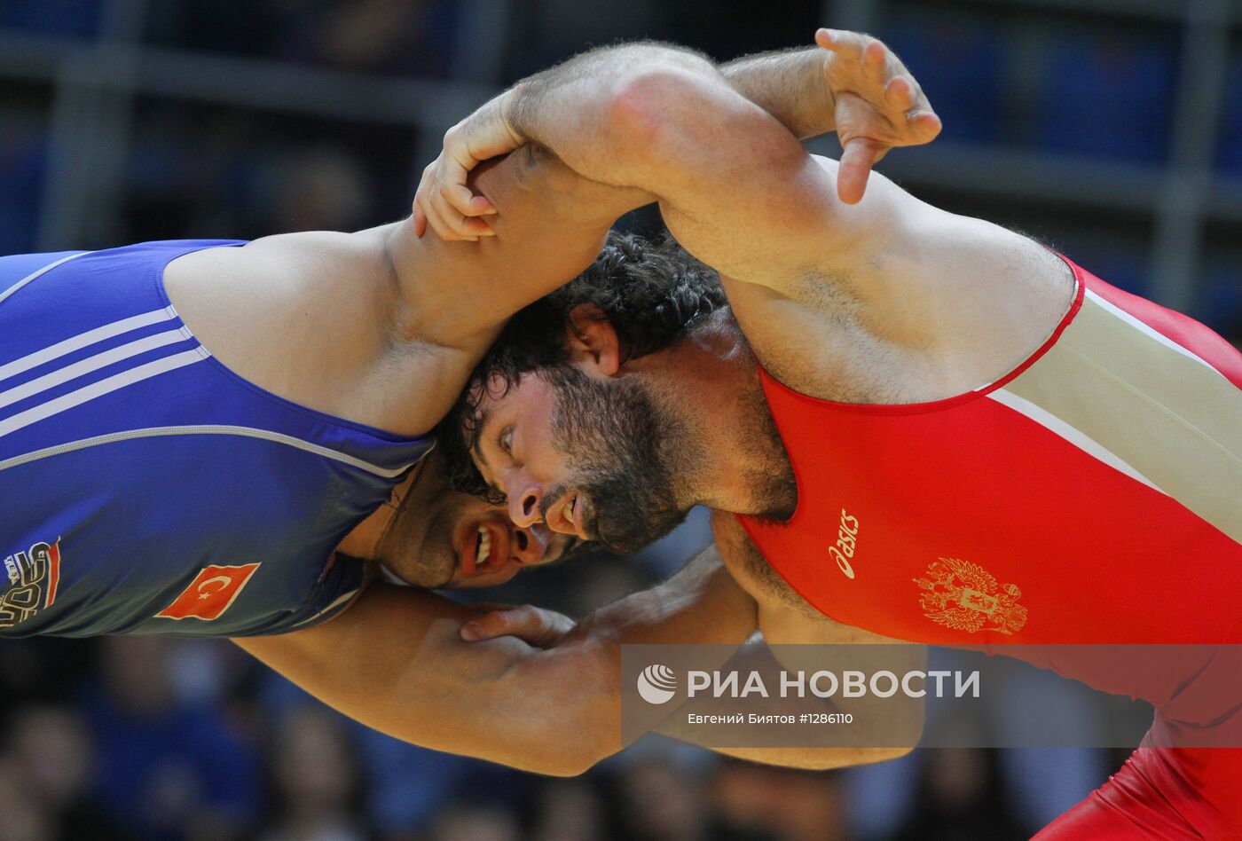 Кубок европейских наций по вольной и греко-римской борьбе