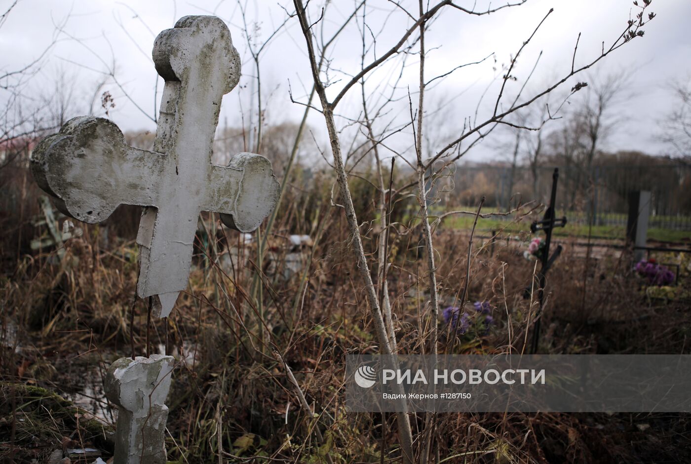 Вандалы повредили 14 крестов на Пискаревском мемориале