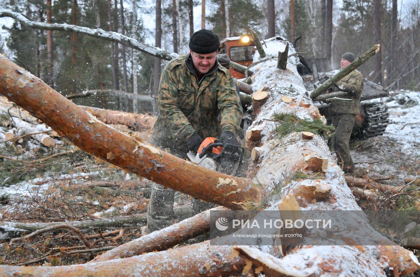 Рубка леса в Челябинской области