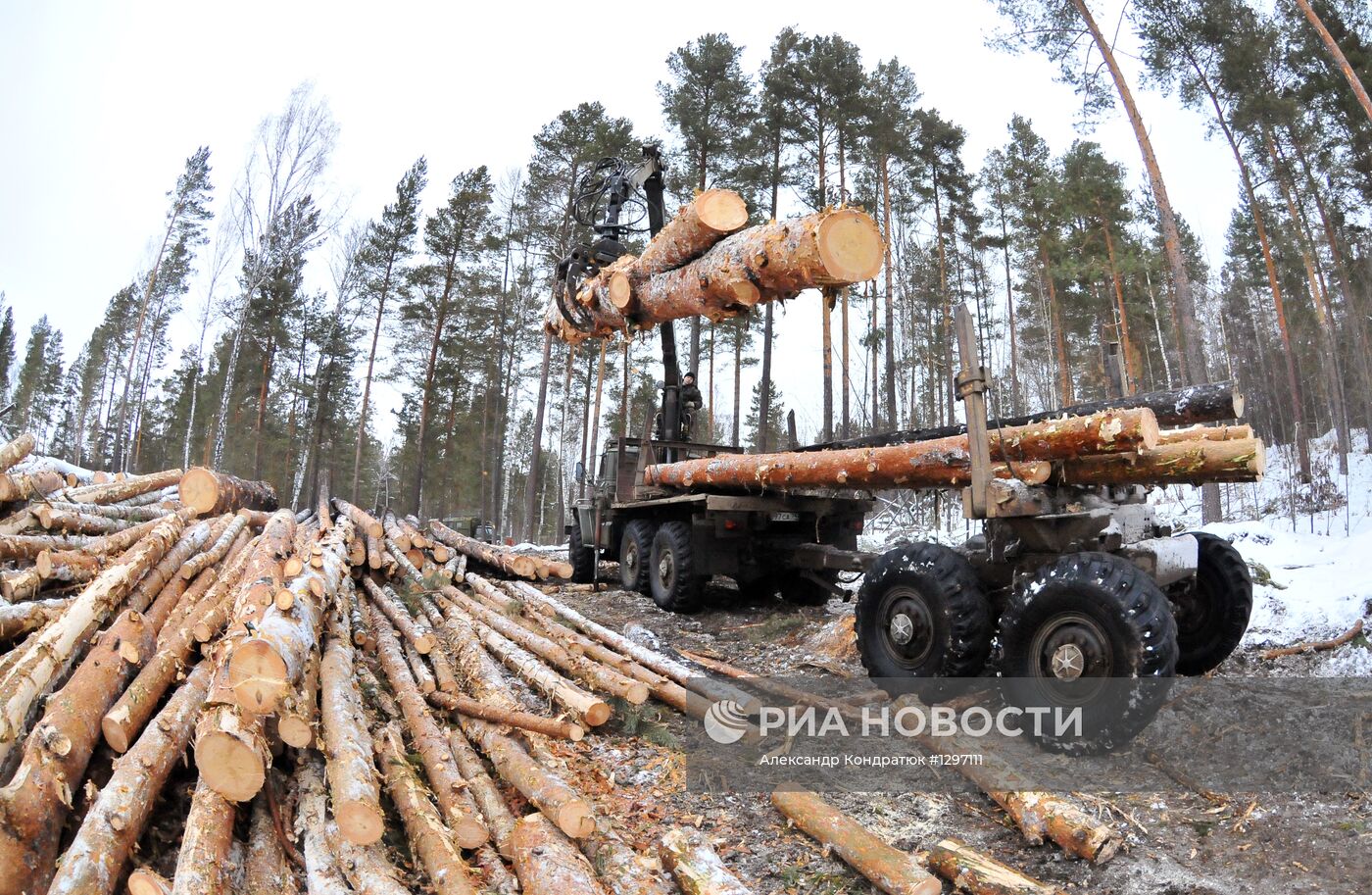 Рубка леса в Челябинской области
