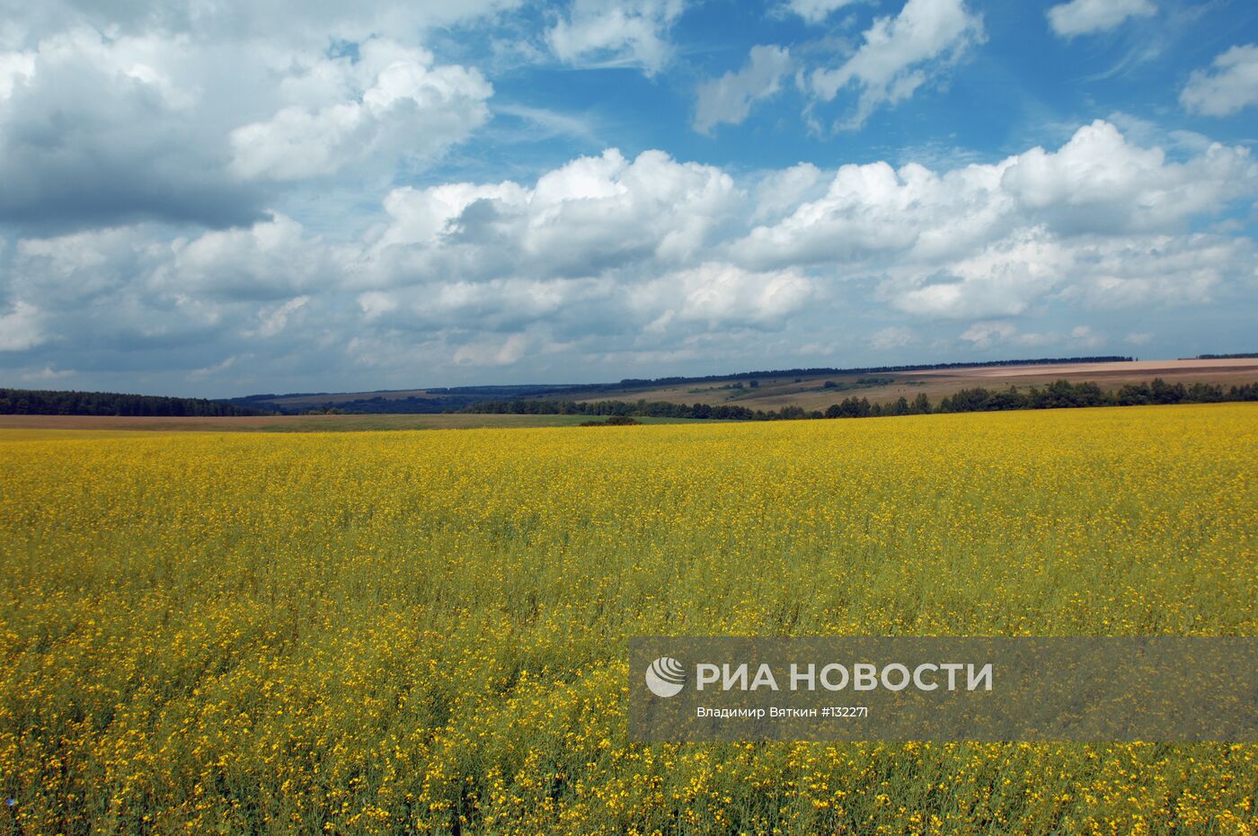 Поля Орловской области