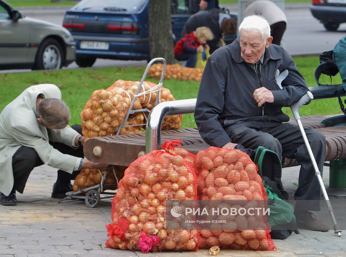 ЗАГОТОВКА ОВОЩЕЙ