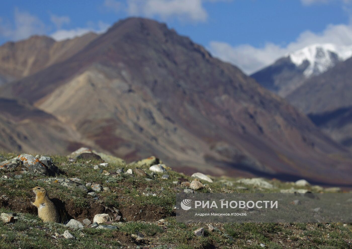 Страны мира. Монголия