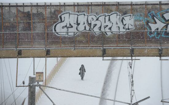 Последствия снегопада в Москве