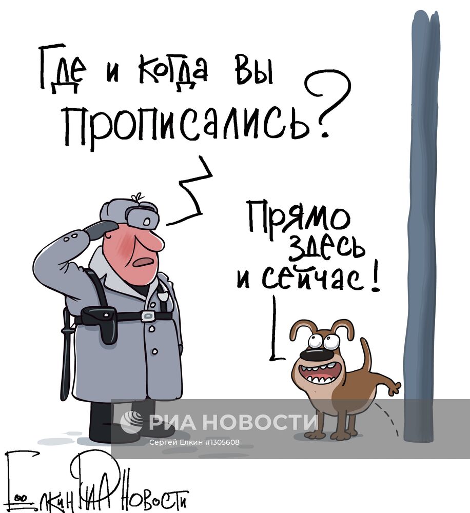 Томские власти обязали хозяев "прописывать" собак