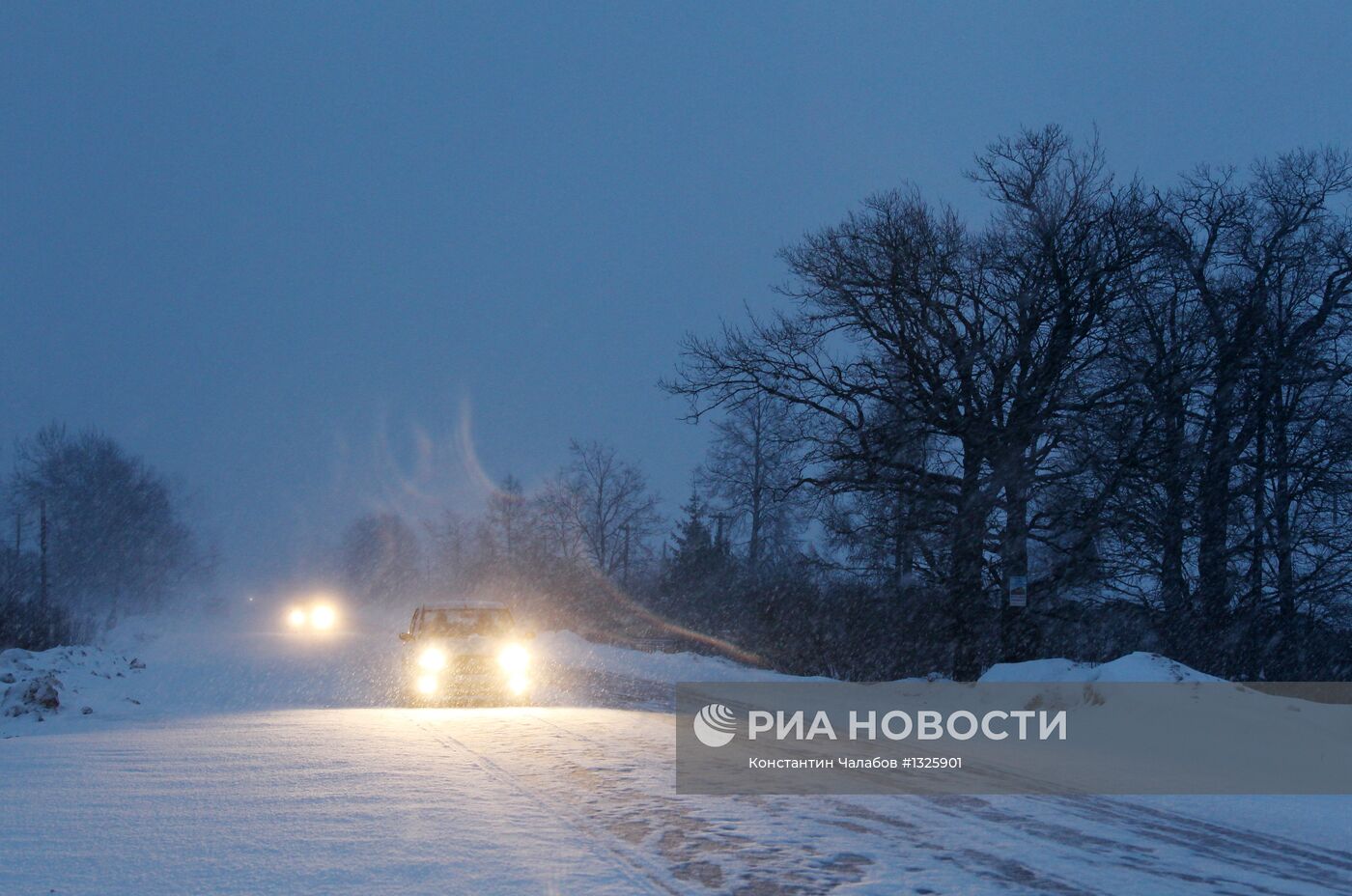 Снегопад в Новгородской области