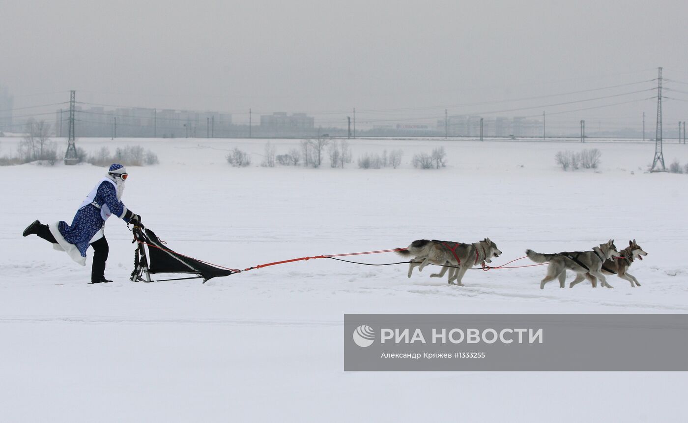 Гонки на собачьих упряжках "Рождественский заезд - 2013"