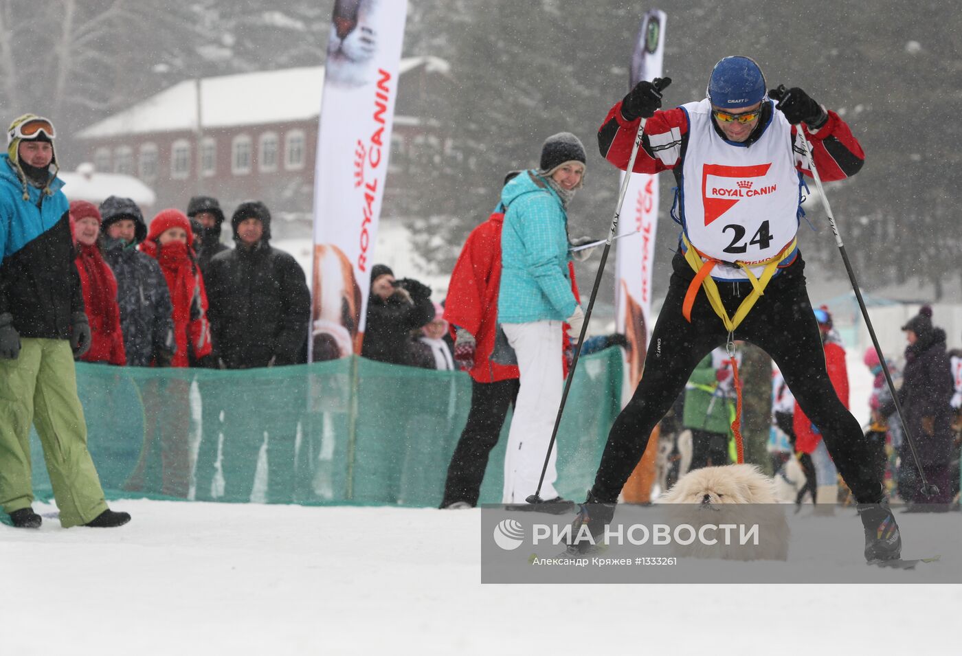 Гонки на собачьих упряжках "Рождественский заезд - 2013"