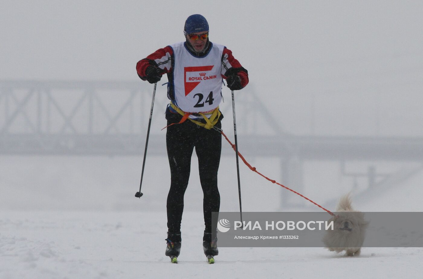 Гонки на собачьих упряжках "Рождественский заезд - 2013"