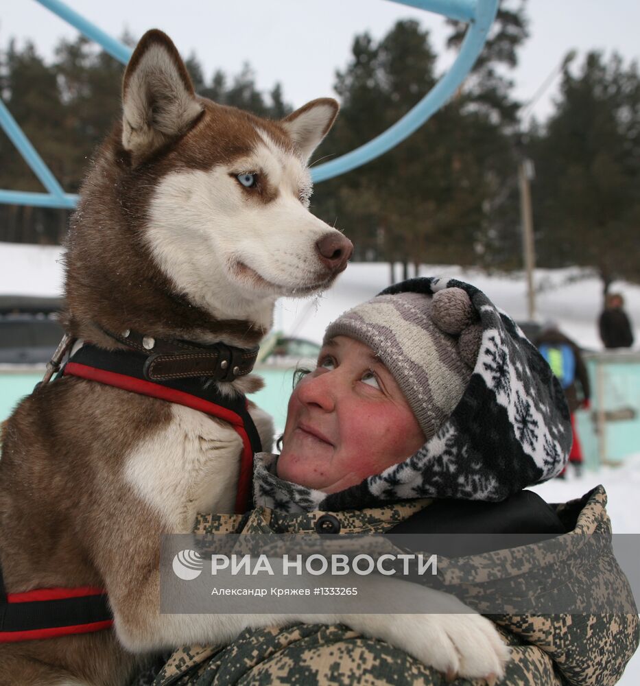 Гонки на собачьих упряжках "Рождественский заезд - 2013"
