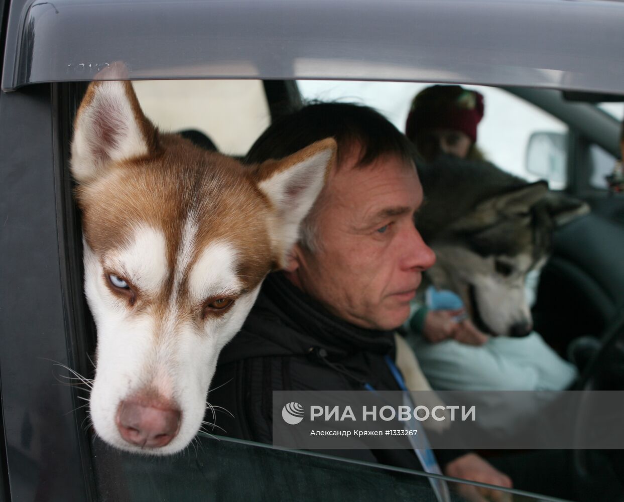Гонки на собачьих упряжках "Рождественский заезд - 2013"