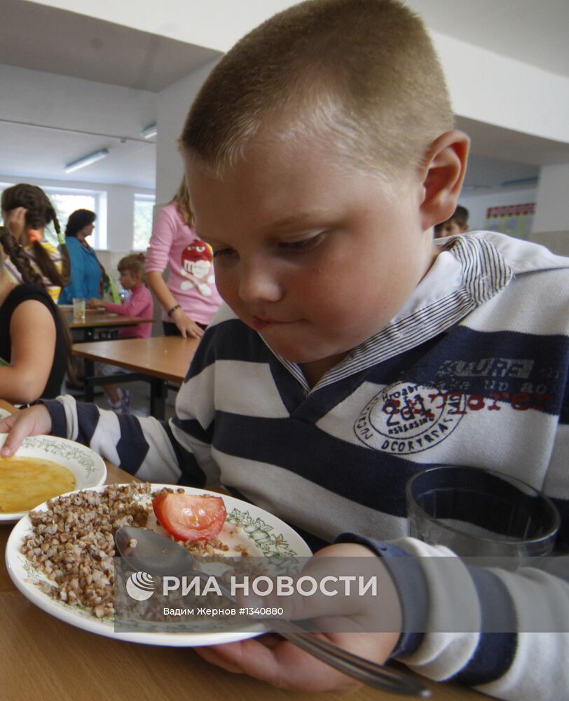 Детские летние лагеря Ленинградской области