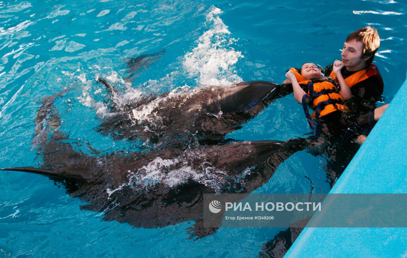 Дельфинотерапия в минском дельфинарии